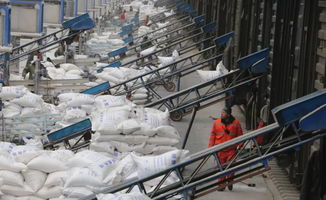 發展集團內部運輸市場 價值、機遇與策略